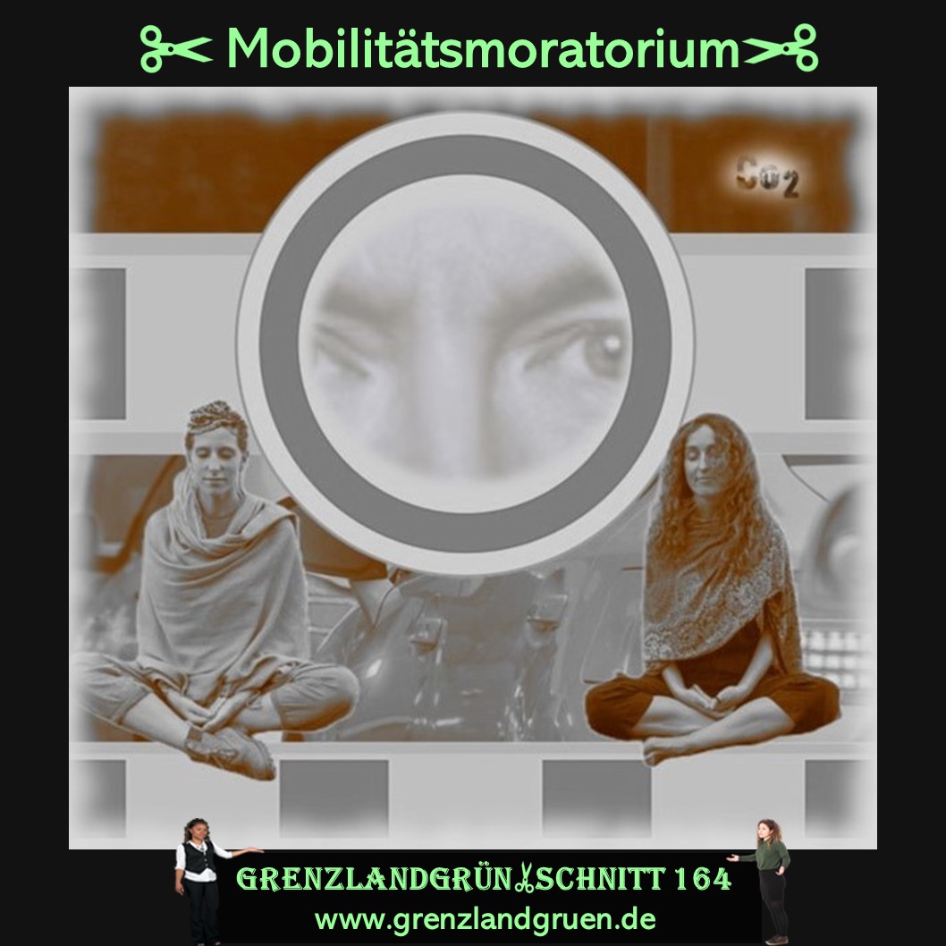 164 Mobilittsmoratorium.jpg